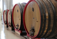 トスカーナ製の伝統的な樽でじっくり熟成